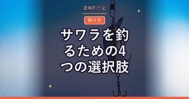 サワラを釣るための4つの選択肢｜ブレードジギング・ミノー・ヘビーシンキング・ライトジギング