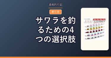 サワラを釣るための4つの選択肢｜ブレードジギング・ミノー・ヘビーシンキング・ライトジギング