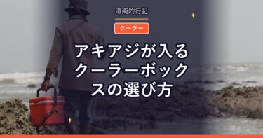 アキアジが入るクーラーボックスの選び方｜容量と保冷力の基準