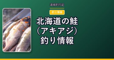 北海道の鮭（アキアジ）釣り情報｜シーズンはいつから？道南の実釣記録で見る時期