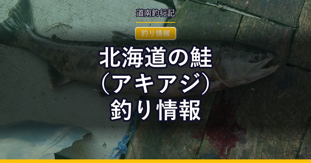 北海道の鮭（アキアジ）釣り情報