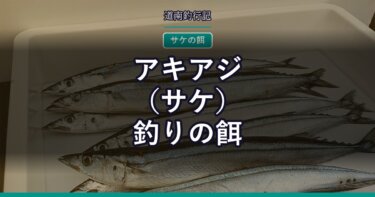 アキアジ（サケ）釣りの餌｜カットカツオとサンマ、結局どっちがいい？