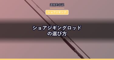 ショアジギングロッドの選び方｜道南の堤防・磯で青物を獲るための条件