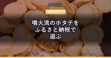 噴火湾のホタテをふるさと納税で選ぶ｜森町・長万部町を比べる