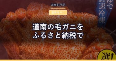 道南の毛ガニをふるさと納税で｜森町・長万部町・函館市の寄付額と内容量