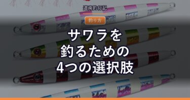 サワラを釣るための4つの選択肢｜ブレードジギング・ミノー・ヘビーシンキング・ライトジギング