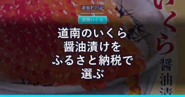 道南のいくら醤油漬けをふるさと納税で選ぶ｜森町・八雲町の寄付額と容量