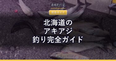 北海道のアキアジ釣り完全ガイド｜道具・仕掛け・ルール・釣り方のすべて