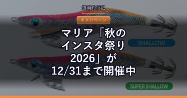 マリア「秋のインスタ祭り2026」が12/31まで開催中｜釣果なしでも応募できる