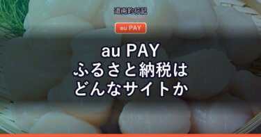au PAY ふるさと納税はどんなサイトか｜Pontaポイントで寄附できるのが強み