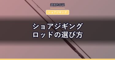 ショアジギングロッドの選び方｜道南の堤防・磯で青物を獲るための条件