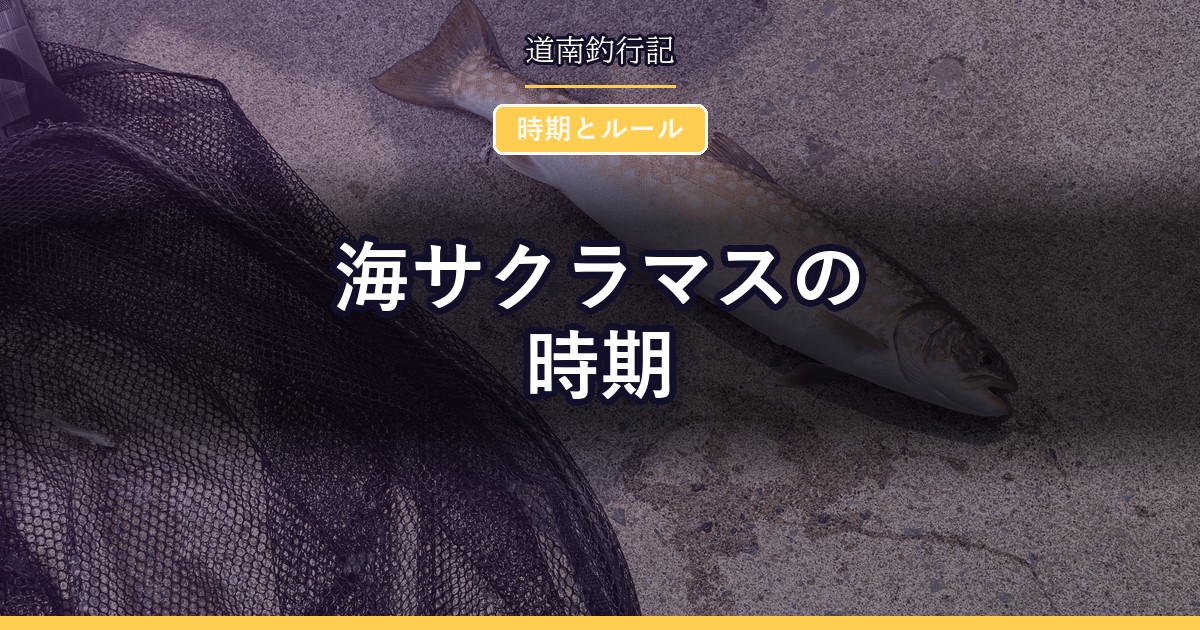 海サクラマスの時期