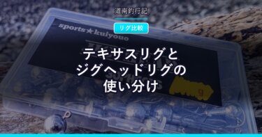 テキサスリグとジグヘッドリグの使い分け｜根掛かりの多い場所ではどっちを使う？